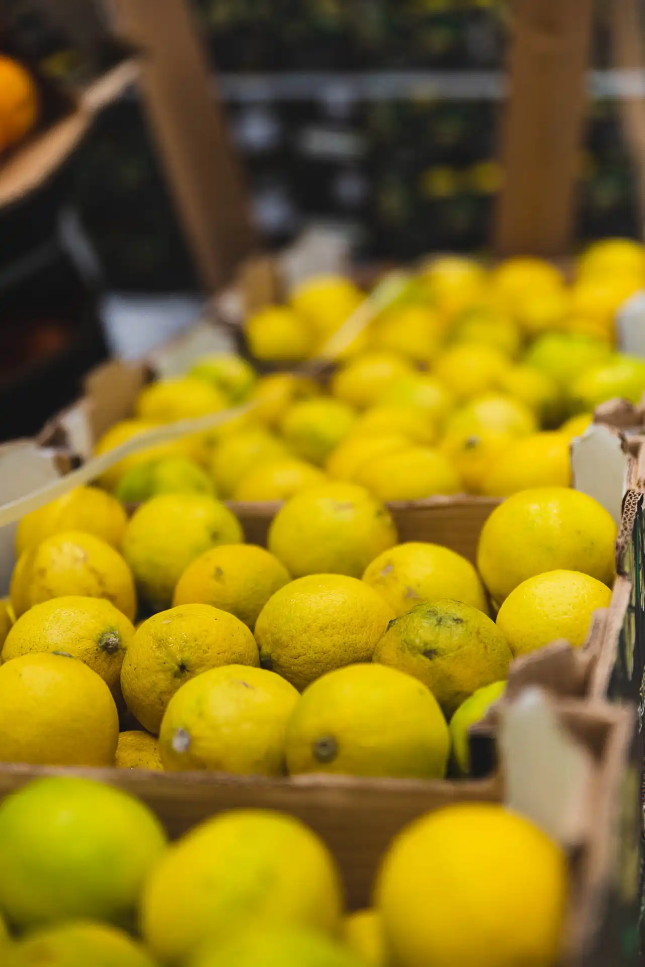 Zitromac Fábrica (106) copia