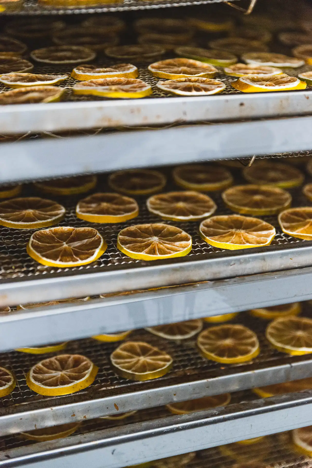 Zitromac Fábrica (25) copia