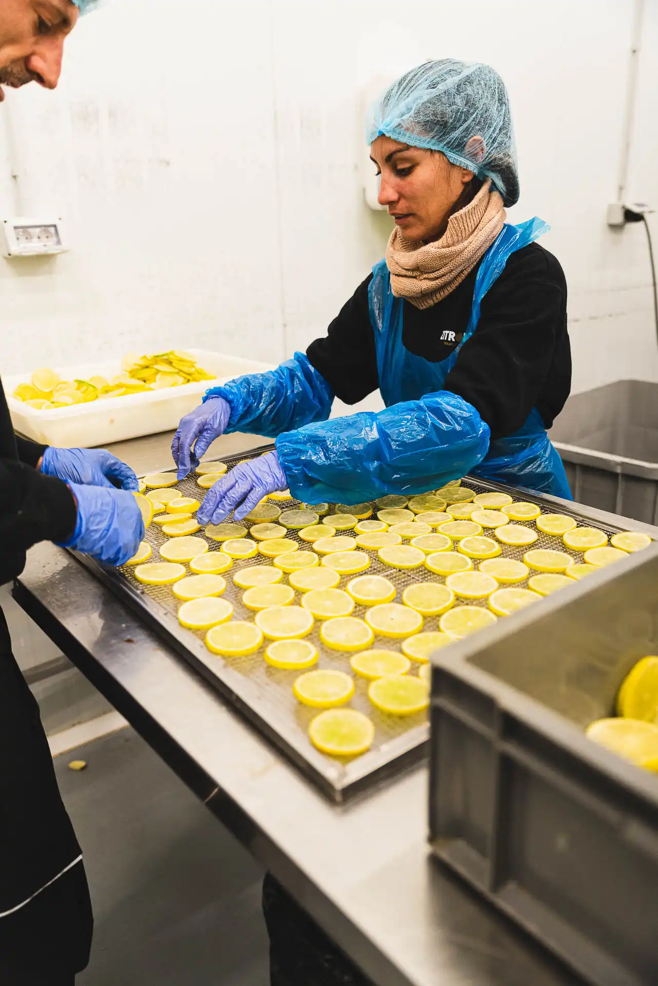 Zitromac Fábrica (68) copia